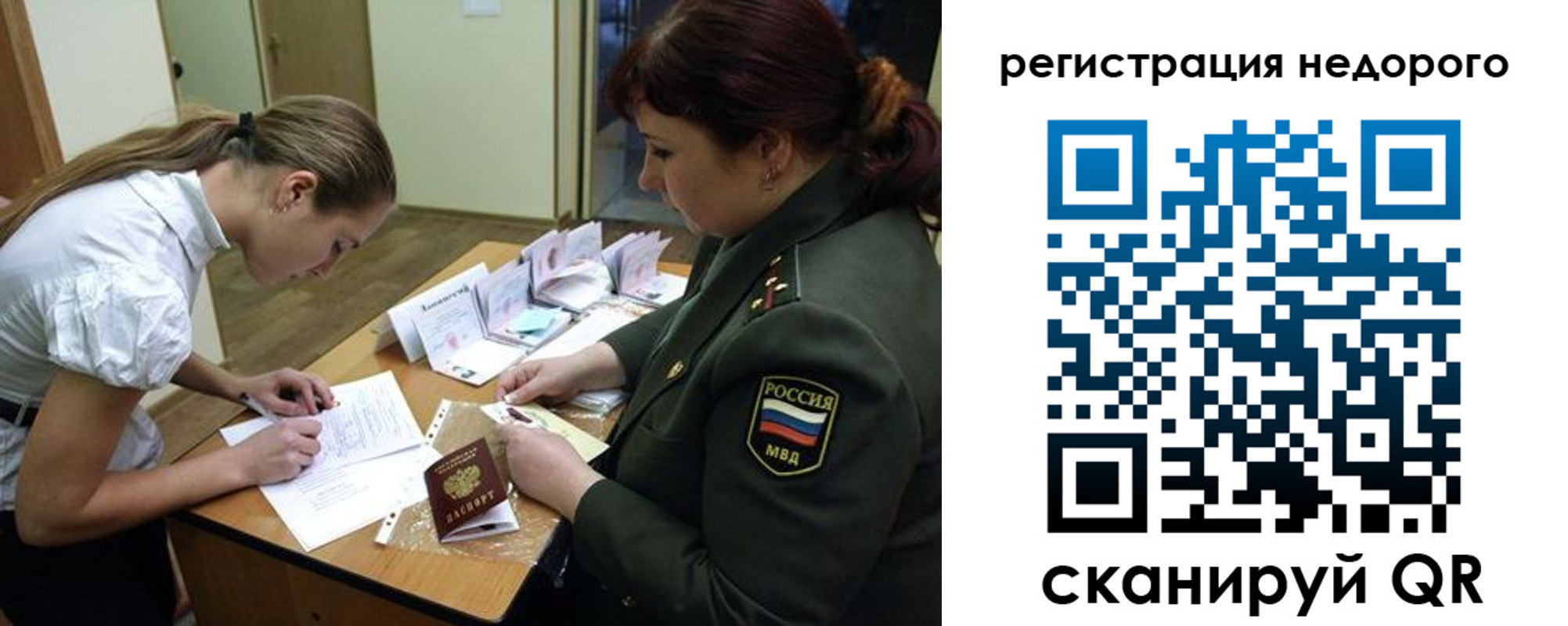прописка для школы в Курской области